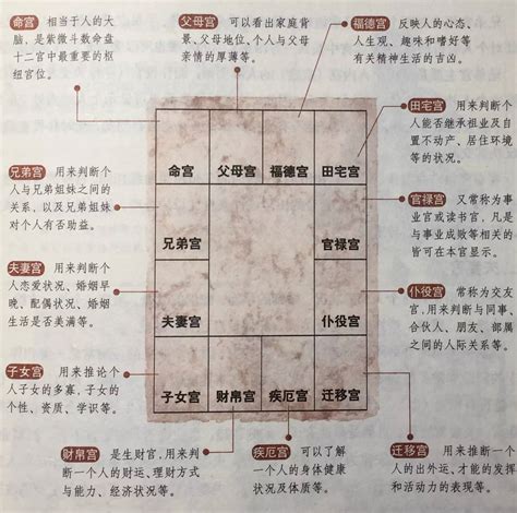 紫微方位|紫微斗数宫位系统 